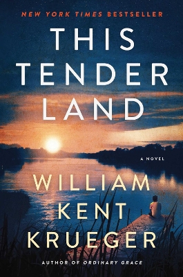 Book cover for This Tender Land