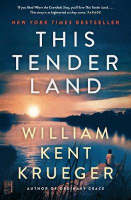 Book cover for This Tender Land