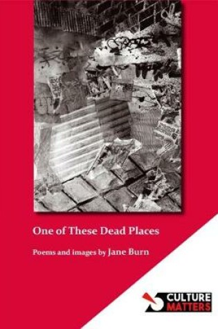 Cover of One of These Dead Places