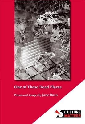 Book cover for One of These Dead Places