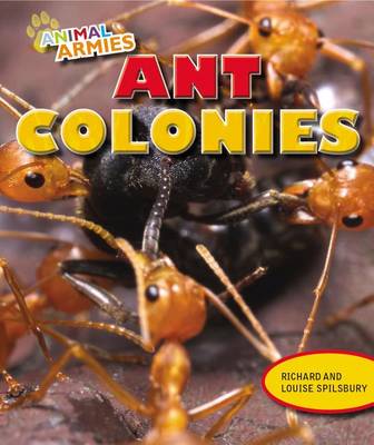 Book cover for Ant Colonies