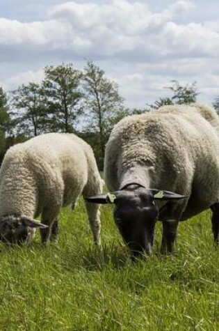 Cover of A Couple of Sheep in the Netherlands, for the Love of Animals