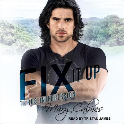 Book cover for Fix It Up