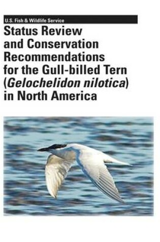 Cover of Status Review and Conservation Recommendations for the Gull-billed Tern (Gelochelidon nilotica) in North America