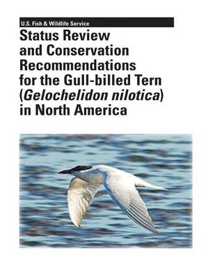 Book cover for Status Review and Conservation Recommendations for the Gull-billed Tern (Gelochelidon nilotica) in North America