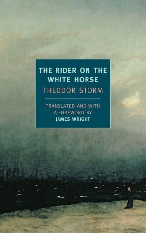 Book cover for The Rider On The White Horse