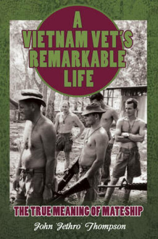 Cover of A Vietnam Vet's Remarkable Life