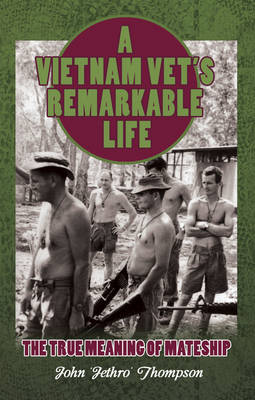 Book cover for A Vietnam Vet's Remarkable Life