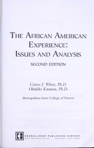 Book cover for The African American Experience