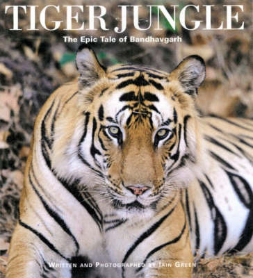 Book cover for Tiger Jungle