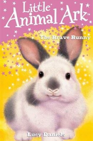 Cover of The Brave Bunny