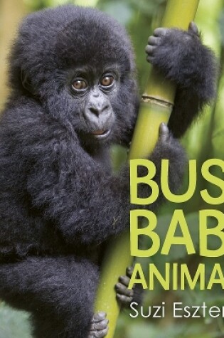 Cover of Busy Baby Animals