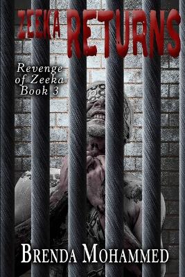 Book cover for Zeeka Returns