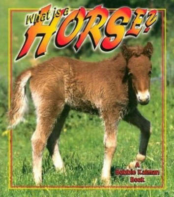 Book cover for What Is A Horse?