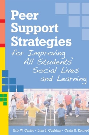 Cover of Peer Support Strategies