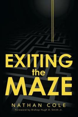 Cover of Exiting the Maze