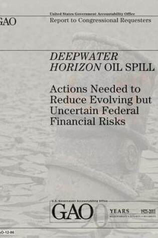 Cover of Deepwater Horizon Oil Spill