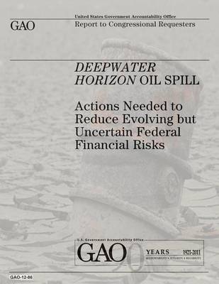 Book cover for Deepwater Horizon Oil Spill