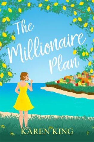 Cover of The Millionaire Plan