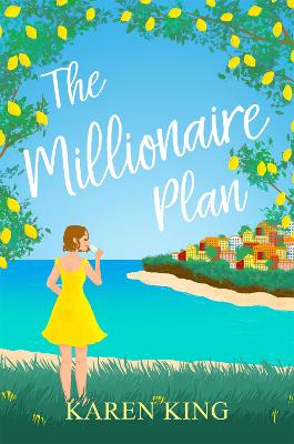 Book cover for The Millionaire Plan