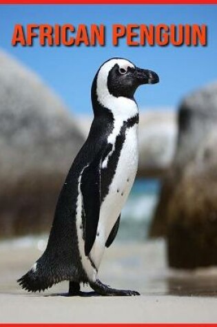 Cover of African Penguin