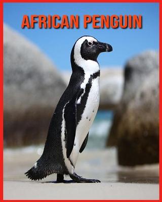 Book cover for African Penguin