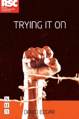 Cover of Trying It On