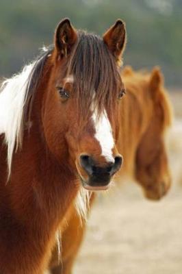 Book cover for A Chestnut Brown Horse with White Blaze and Long Mane Journal