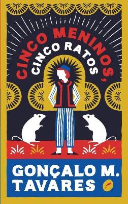 Book cover for Cinco meninos, cinco ratos