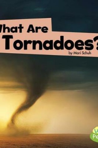 Cover of What are Tornadoes? (Wicked Weather)