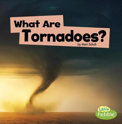 Book cover for What are Tornadoes? (Wicked Weather)