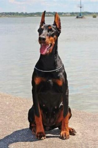 Cover of Cute Doberman in a Poppy Flower Field Journal