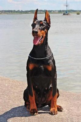 Book cover for Cute Doberman in a Poppy Flower Field Journal