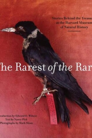 Cover of Rarest of the Rare: The Stories Behind the Harvard Museum of Natural History