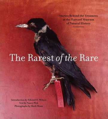 Book cover for Rarest of the Rare: The Stories Behind the Harvard Museum of Natural History