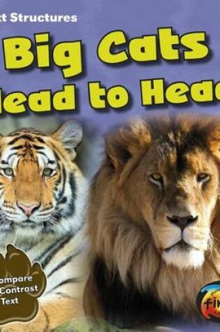 Cover of Big Cats Head to Head: a Compare and Contrast Text (Text Structures)