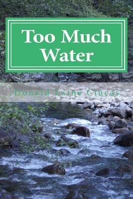 Book cover for Too Much Water