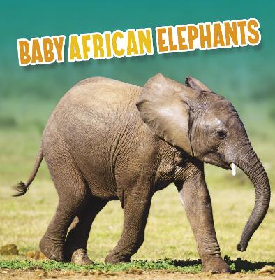 Book cover for Baby African Elephants