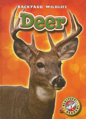 Book cover for Deer