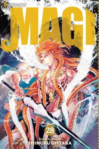 Cover of Magi: The Labyrinth of Magic, Vol. 28