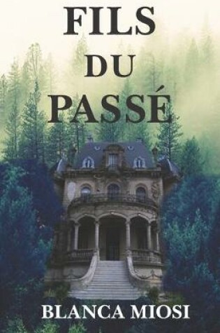 Cover of Fils Du Passé