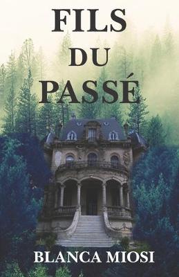 Book cover for Fils Du Passé