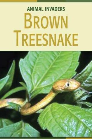 Cover of Brown Treesnake
