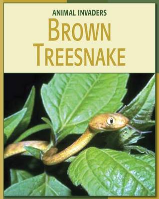 Book cover for Brown Treesnake