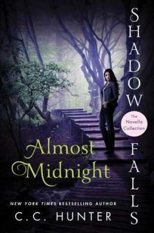 Cover of Almost Midnight