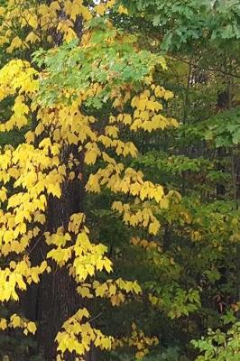 Cover of 2019 Weekly Planner Fall Colors Leaves Turning 134 Pages