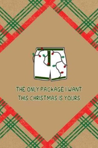 Cover of The Only Package I Want This Christmas Is Yours
