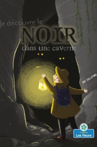 Cover of Je Découvre Le Noir Dans Une Caverne (I Spy Black in a Cave)