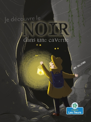 Book cover for Je Découvre Le Noir Dans Une Caverne (I Spy Black in a Cave)