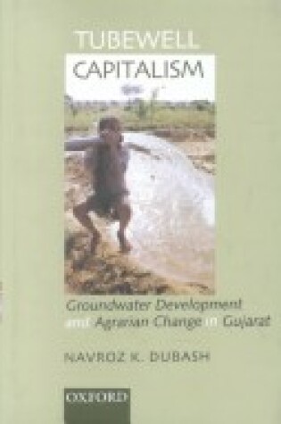 Cover of Tubewell Capitalism